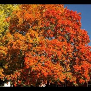 Meet your Posher, Sherri